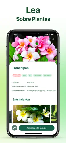 Captura 4 NatureID - Identificar plantas iphone