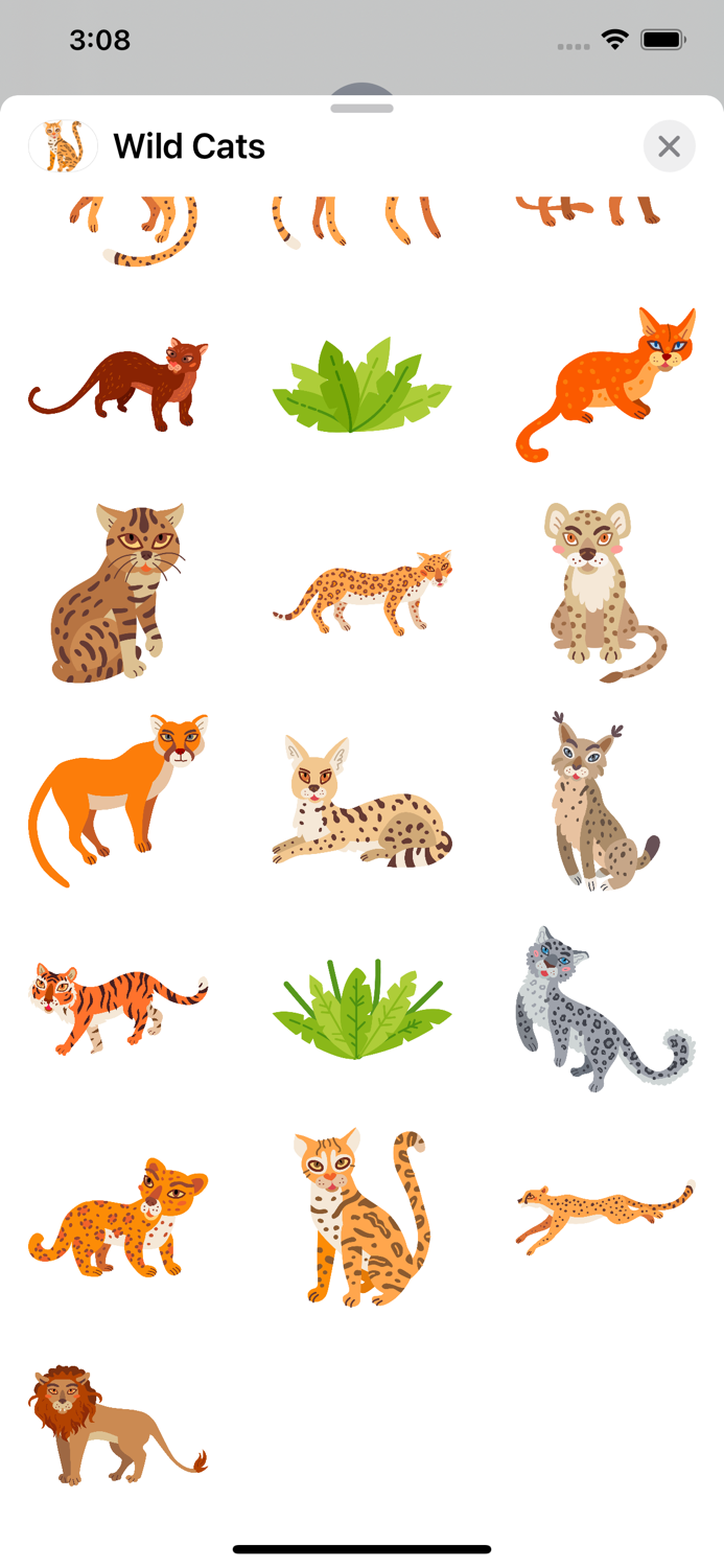 Wild Cats, Tigers and Lions