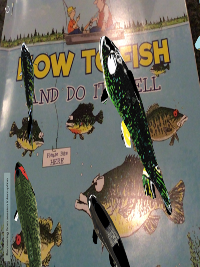 How To Fish AR