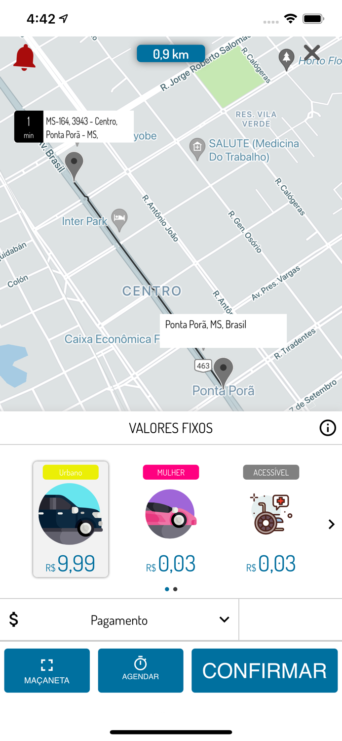 PORÃ DRIVE- PASSAGEIRO