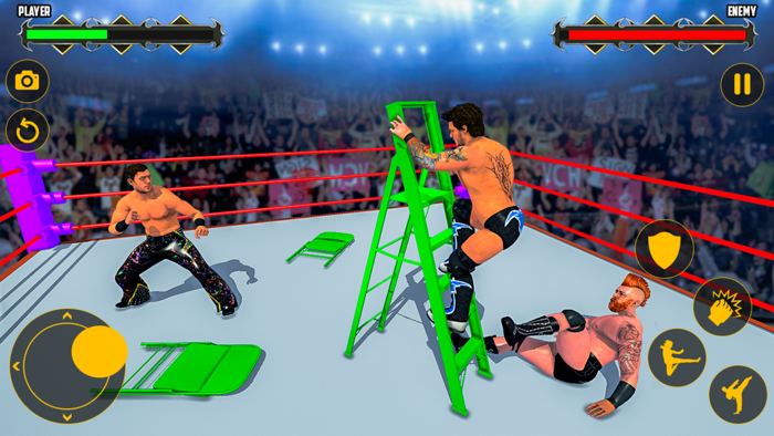 Pro Wrestling  Ring Combat 3D