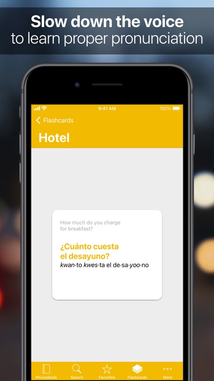 SpeakEasy Spanish Pro screenshot-3