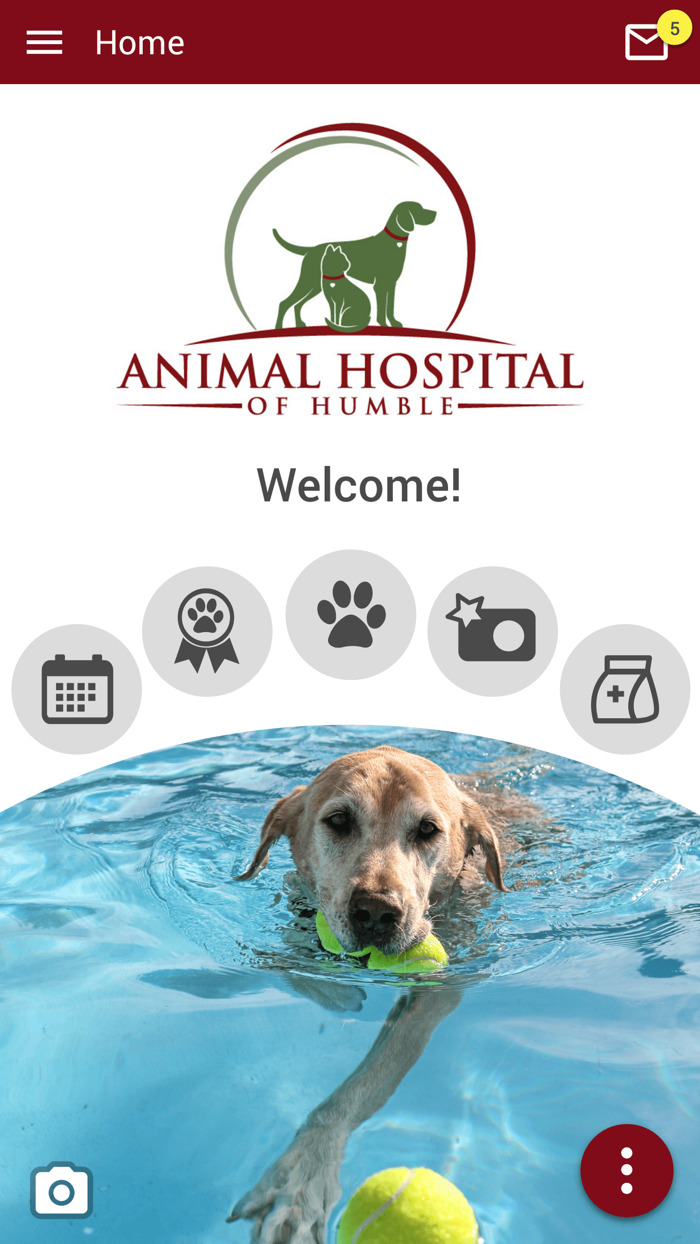 Animal Hospital of Humble