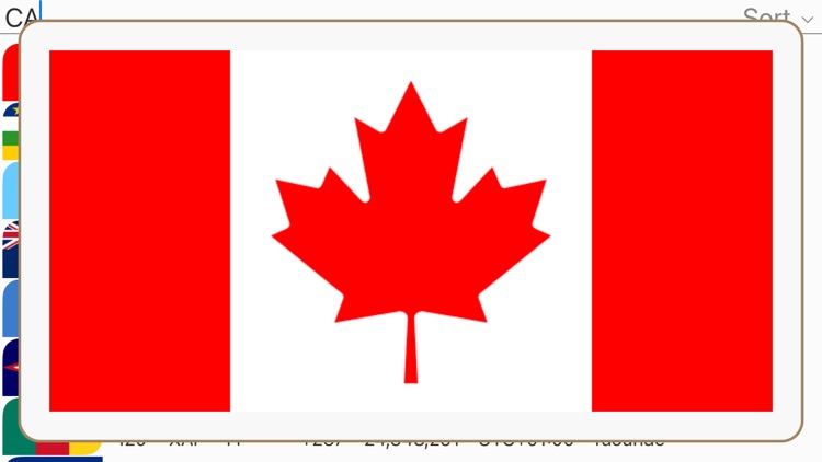 Country Code (Cities) screenshot-8