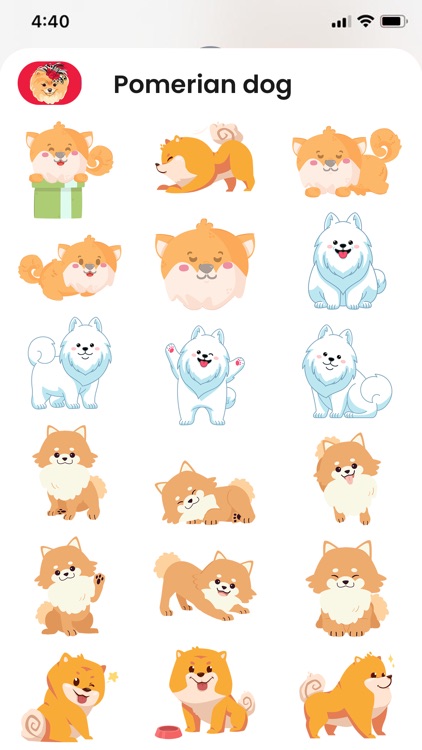 Baby Pomeranian Stickers