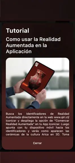 Game screenshot Iconizar - Cultura Arica R.A. hack