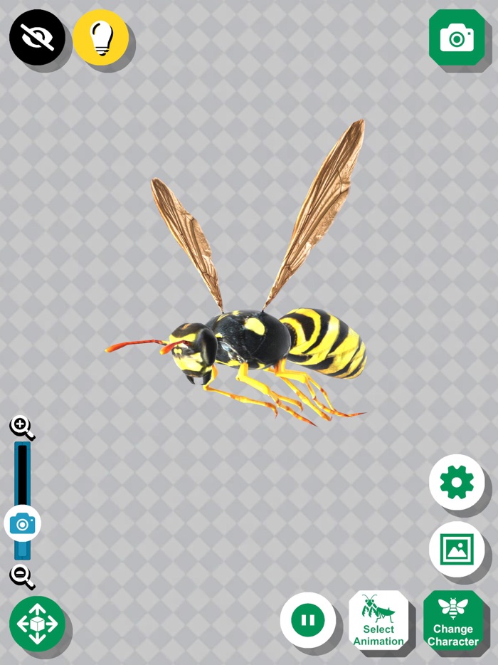 Insect 3D Reference