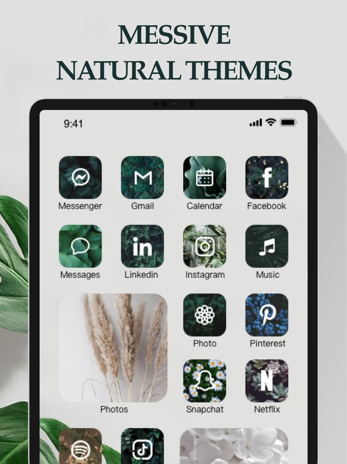 Themes Icons  Fancy Widgets