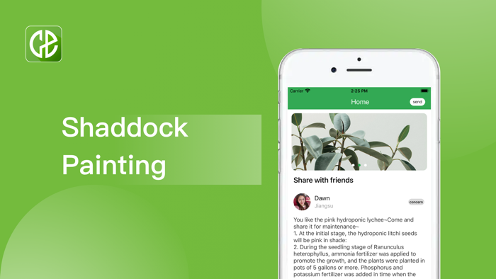 Shaddock Paint Record Growth