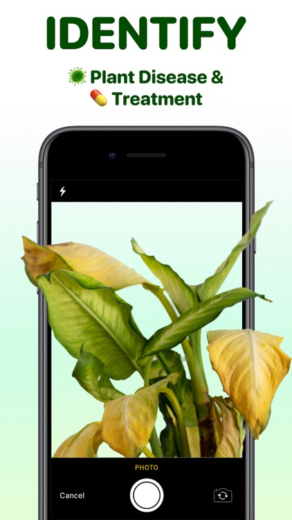 Plant Identifier Aрр