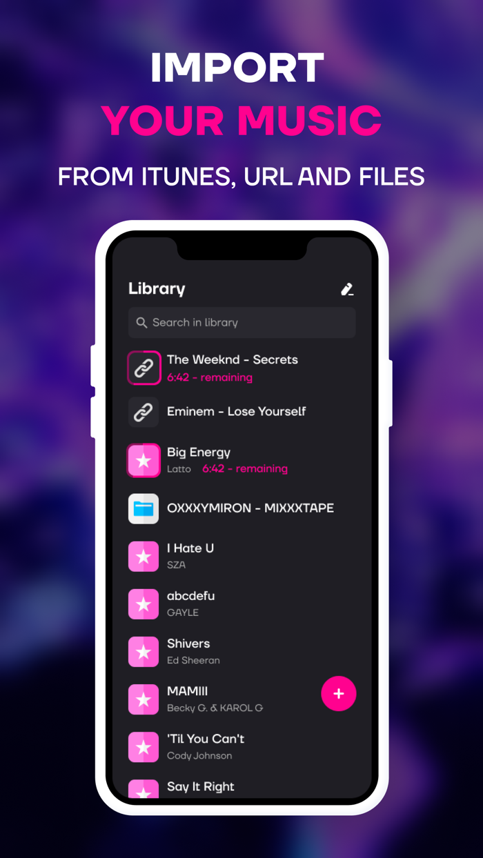 AUDIOLAB, VOCAL REMOVER