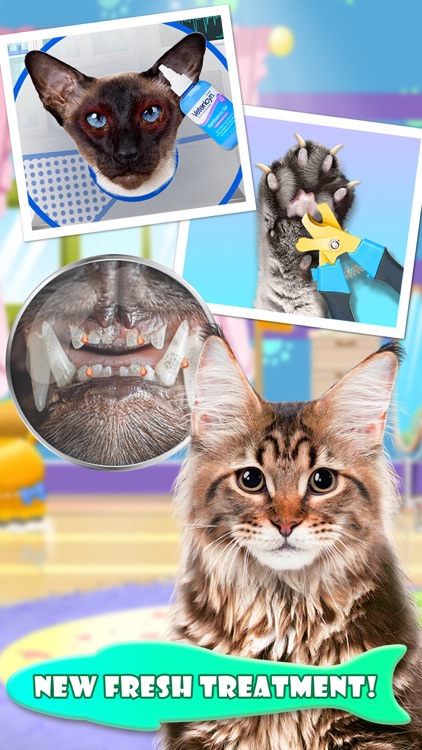 Cat Games: Pet Vet Doctor Care screenshot-5