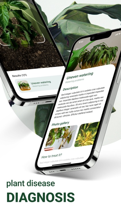 Plant Identification & Scanner