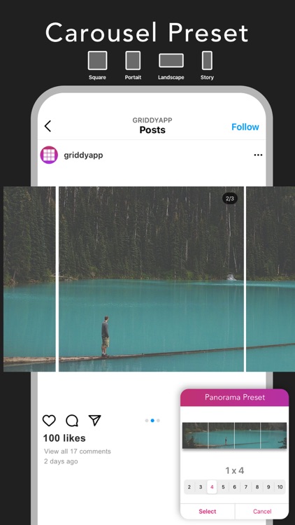 Griddy Pro: Split Pic in Grids screenshot-3
