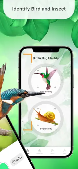 Game screenshot Bird Identifier Identify Bugs apk