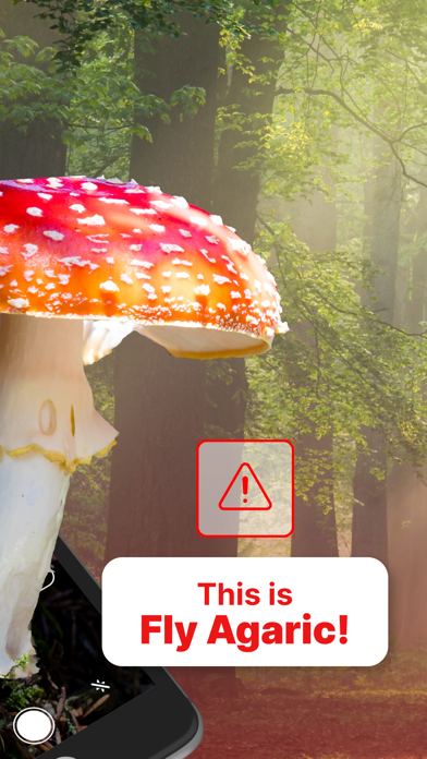 Mushroom Identification! screenshot 2