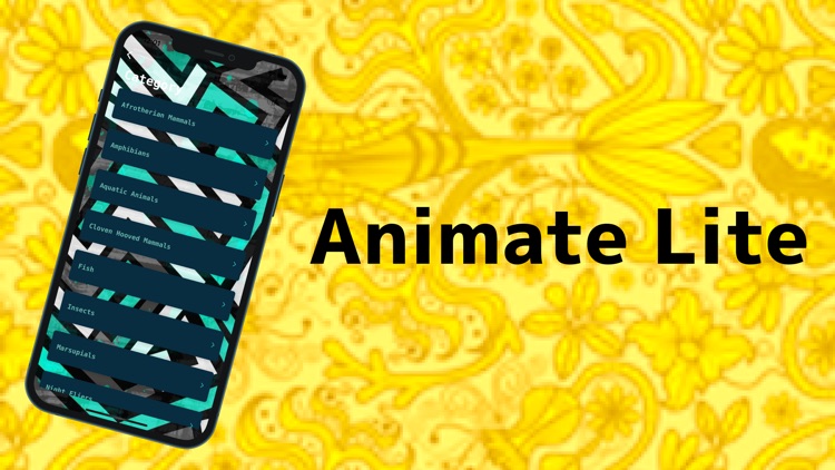 Animate Lite