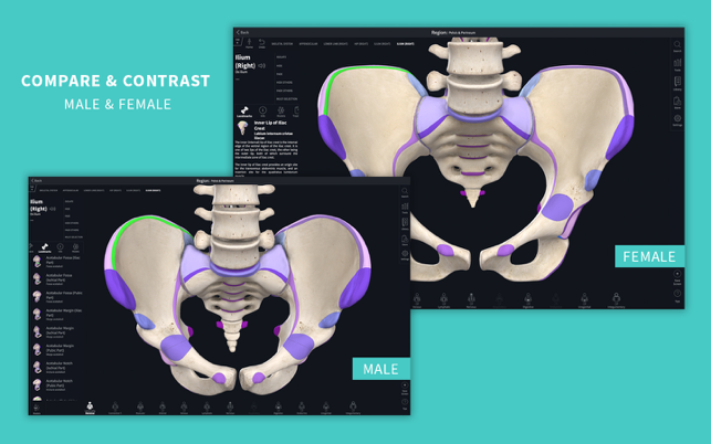 ‎Complete Anatomy 22 Screenshot