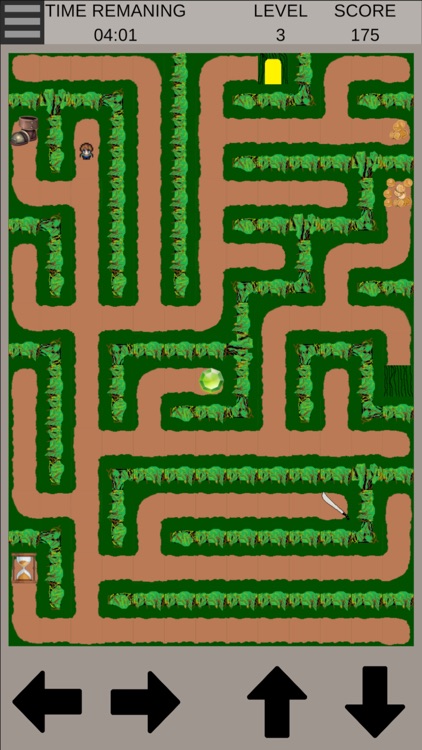 Find the Path: A Maze Game