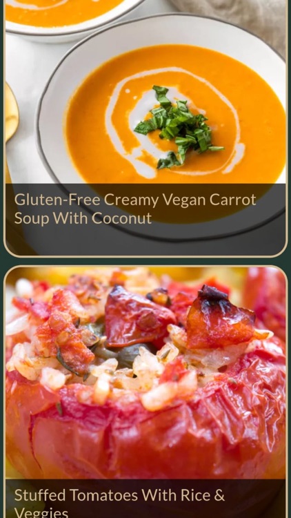 Vegan Recipes Plus screenshot-9