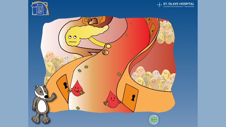 Gusse – Diabetes Type 1