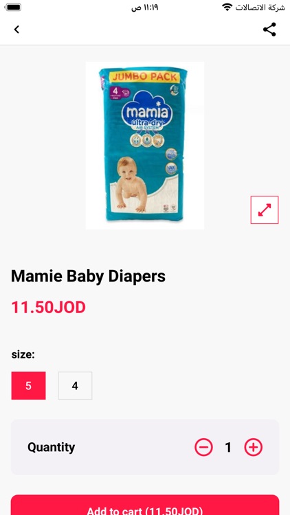 مدينة المنظفات