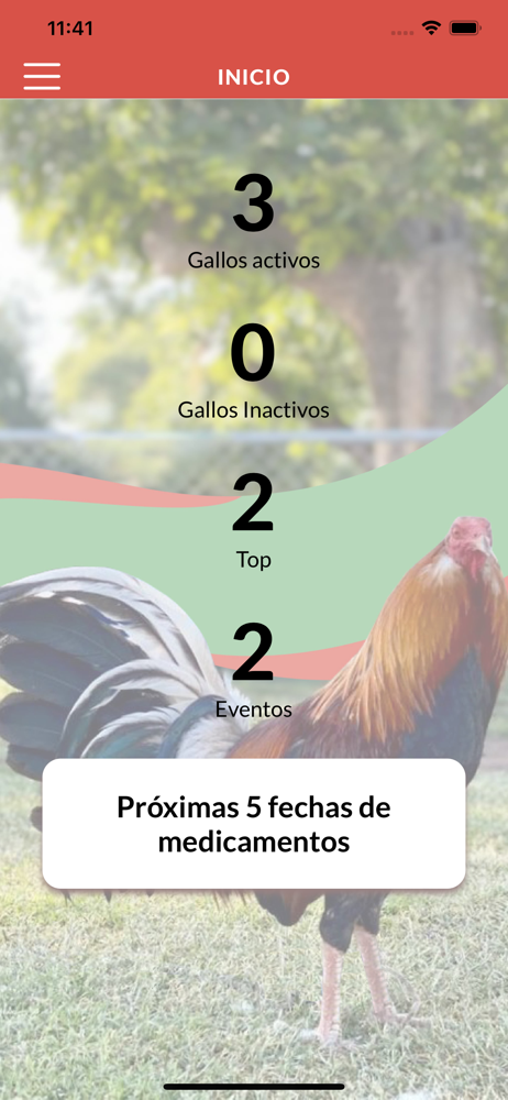 La Gallera screenshot 2