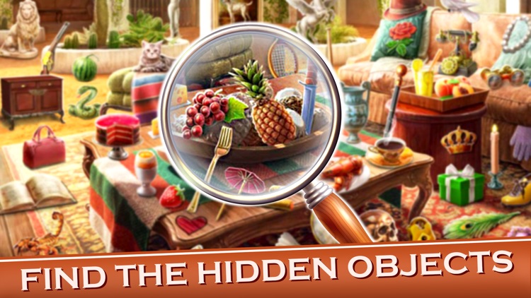 Big Home Hidden Objects screenshot-3