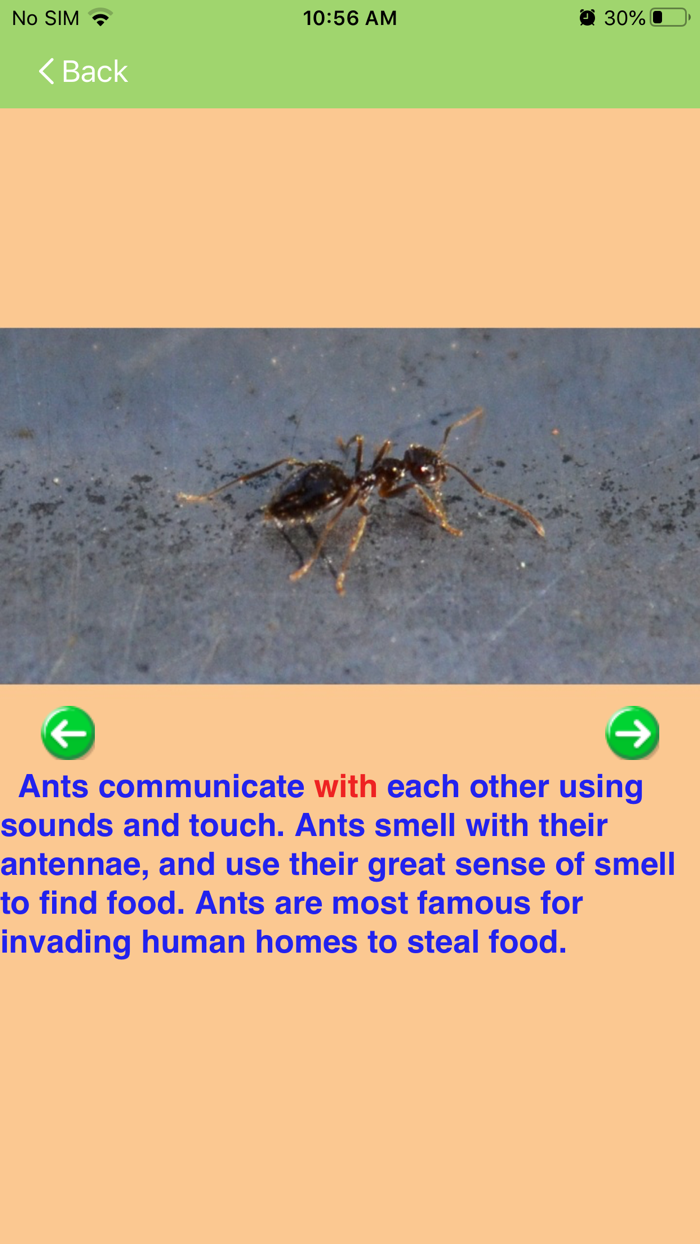 Letter of the Week Lite