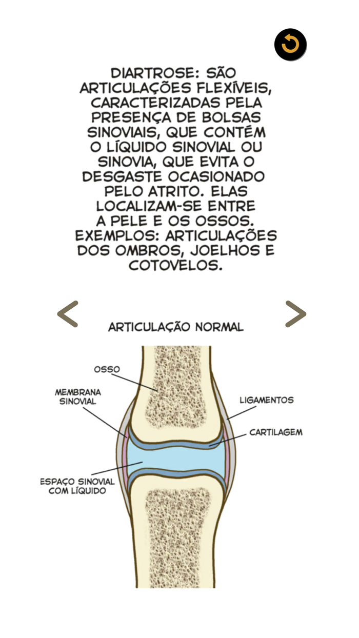 Anatomia Fácil na Palma da Mão
