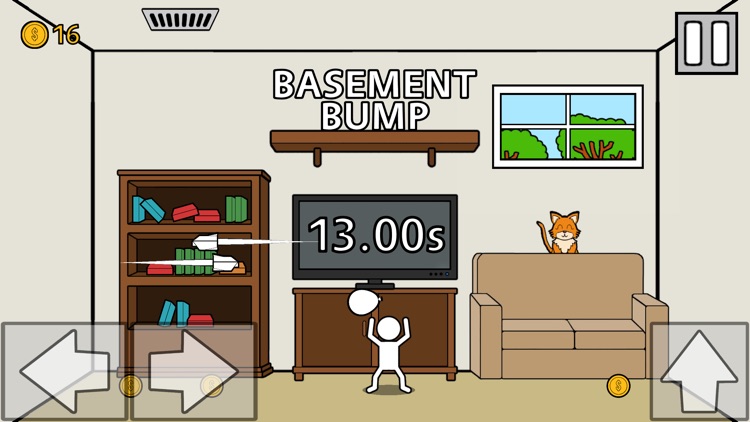 Basement Bump