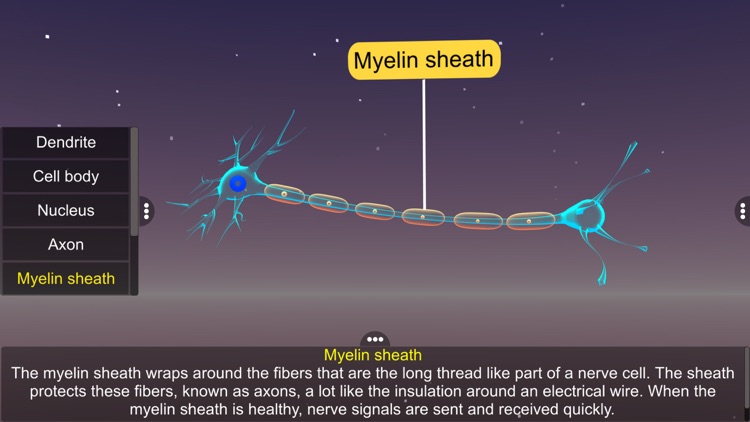 Learn Neuron screenshot-4