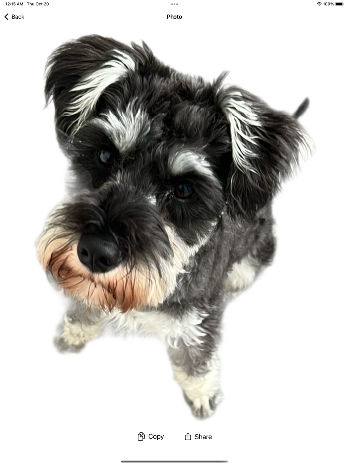 Background Removal Camera