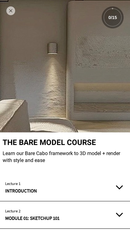 The Bare Model