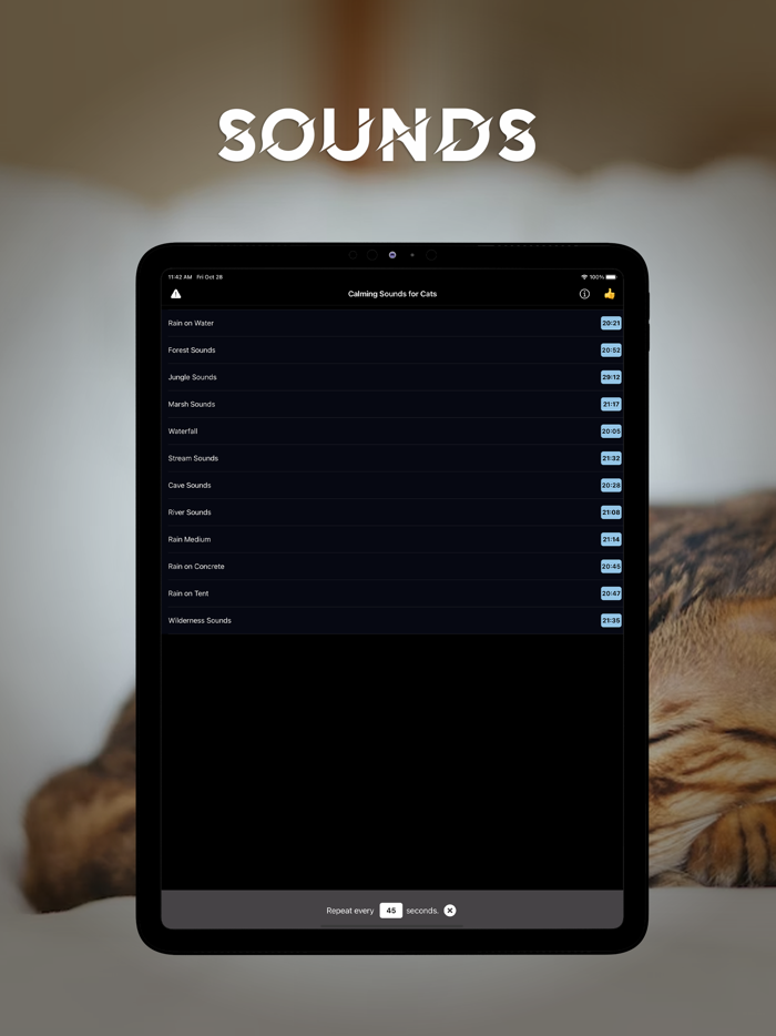 Calming Sound for Cats