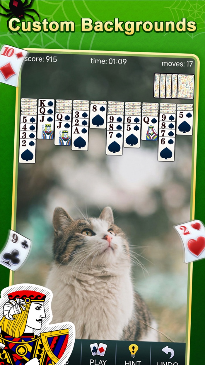 Spider Solitaire - ACE