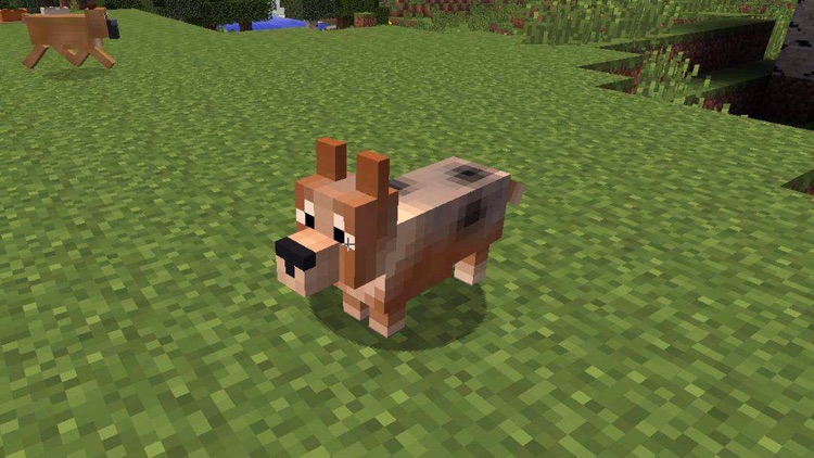 Animals Mod for Minecraft PE screenshot-4