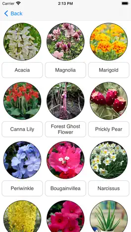 Game screenshot Beautifil Flowers mod apk