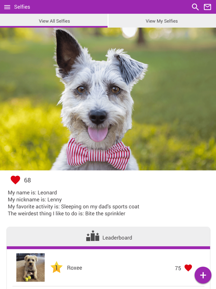 Village Vet Clinic OH