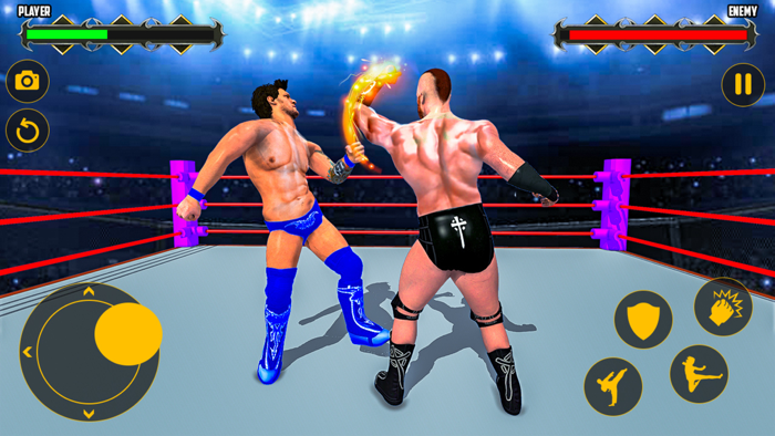 Pro Wrestling  Ring Combat 3D