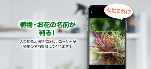 Greensnap 植物 花の名前が判る写真共有アプリ をapp Storeで