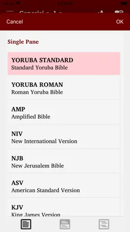 Game screenshot Yoruba & English Bible hack