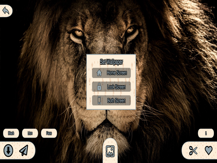 Animal Wallpapers 4K