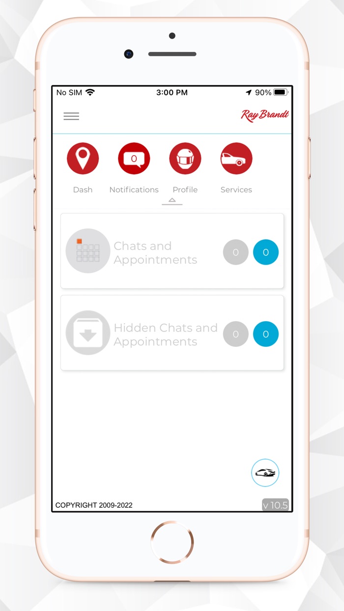 RAY BRANDT AUTO CARE