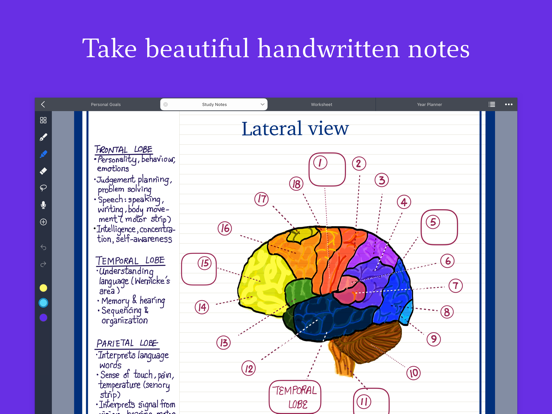 Noteful: Note-Taking on PDF iPad app afbeelding 1