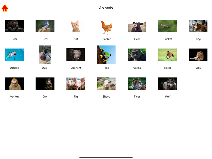 Animal Names and Sounds