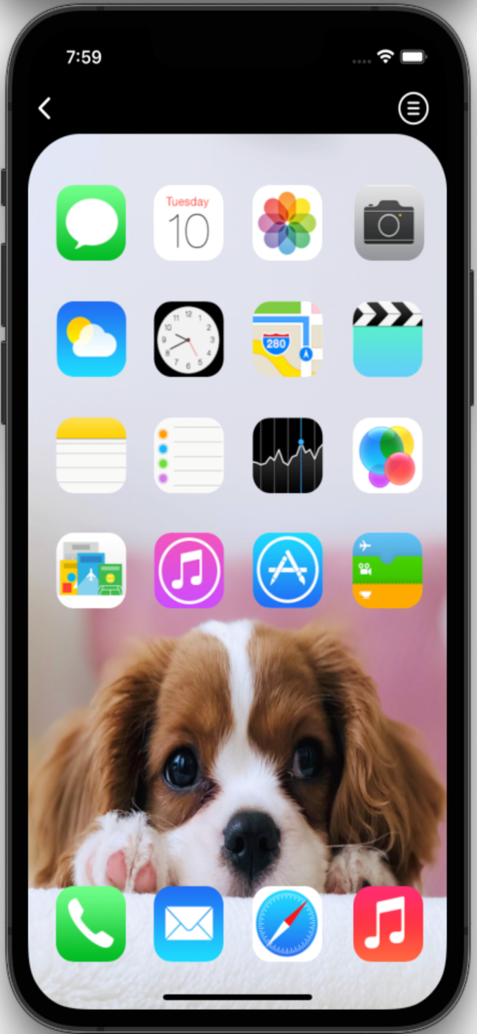 Dog Wallpapers HD Pro