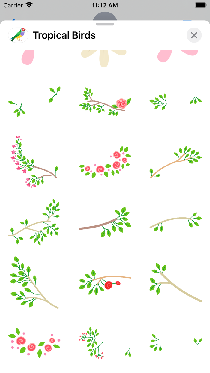 Tropical Birds, Plants, Flower