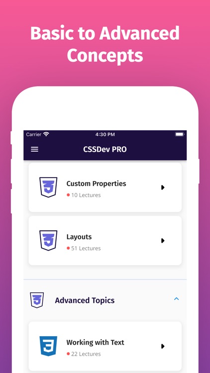 Learn CSS 3 Offline Now [PRO] screenshot-3