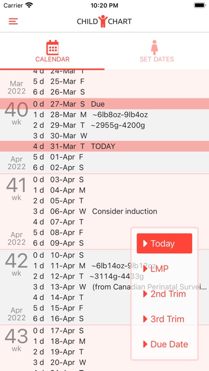 Pregnancy CC screenshot-5